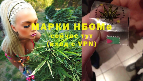 тгк Новозыбков
