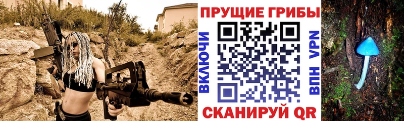 Галлюциногенные грибы GOLDEN TEACHER  где купить наркоту  Суздаль 