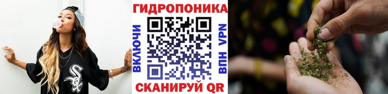 Шишки марихуана конопля  Суздаль 
